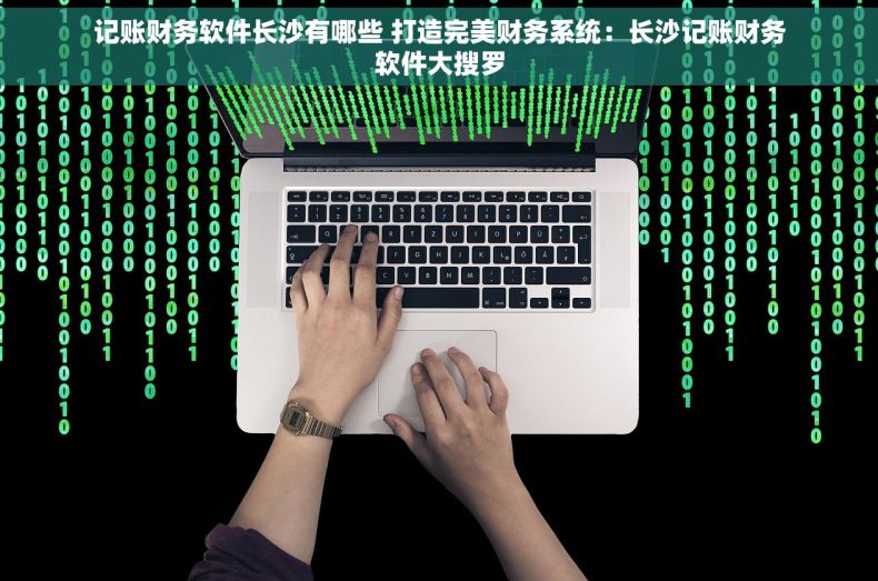 记账财务软件长沙有哪些 打造完美财务系统：长沙记账财务软件大搜罗