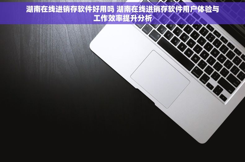湖南在线进销存软件好用吗 湖南在线进销存软件用户体验与工作效率提升分析