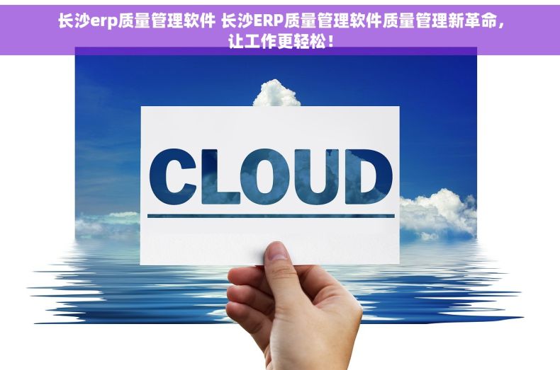 长沙erp质量管理软件 长沙ERP质量管理软件质量管理新革命，让工作更轻松！
