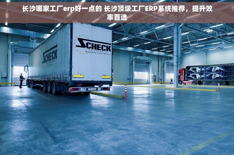 长沙哪家工厂erp好一点的 长沙顶级工厂ERP系统推荐，提升效率首选