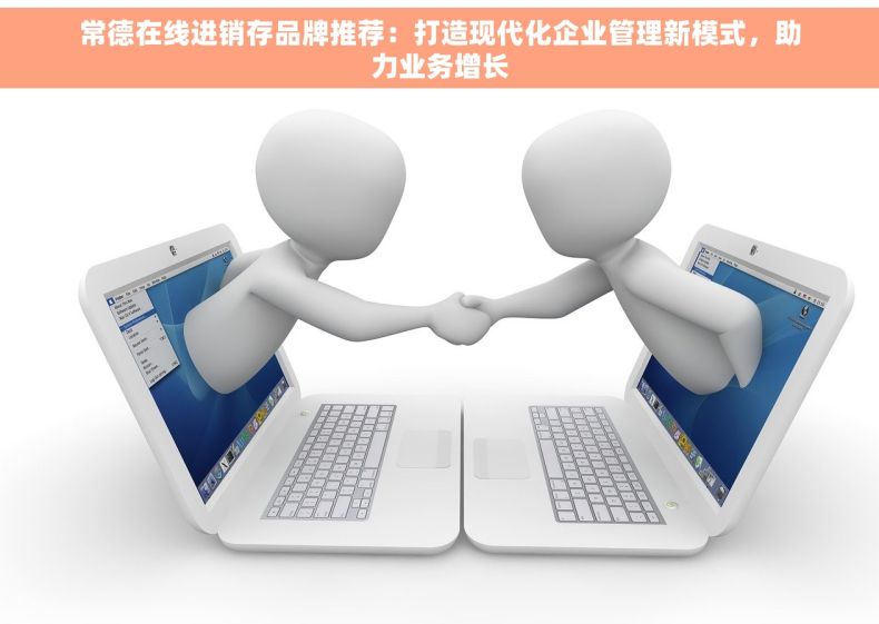 常德在线进销存品牌推荐：打造现代化企业管理新模式，助力业务增长