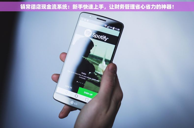镇常德店现金流系统：新手快速上手，让财务管理省心省力的神器！