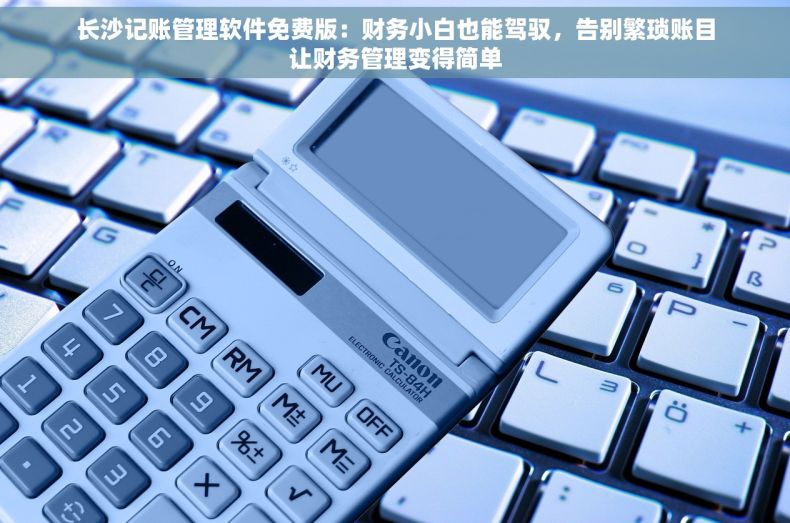 长沙记账管理软件免费版：财务小白也能驾驭，告别繁琐账目让财务管理变得简单