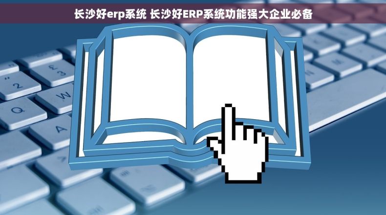 长沙好erp系统 长沙好ERP系统功能强大企业必备
