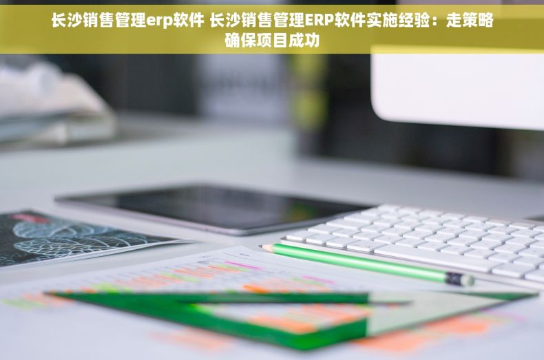 长沙销售管理erp软件 长沙销售管理ERP软件实施经验：走策略确保项目成功