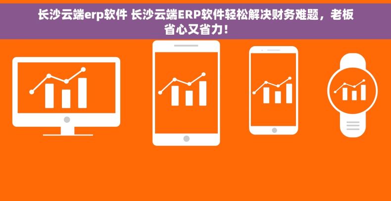长沙云端erp软件 长沙云端ERP软件轻松解决财务难题，老板省心又省力！