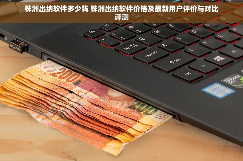 株洲出纳软件多少钱 株洲出纳软件价格及最新用户评价与对比评测