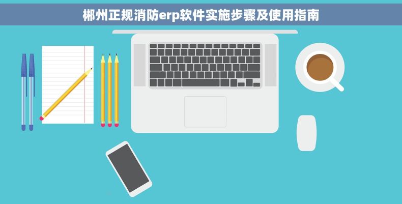 郴州正规消防erp软件实施步骤及使用指南