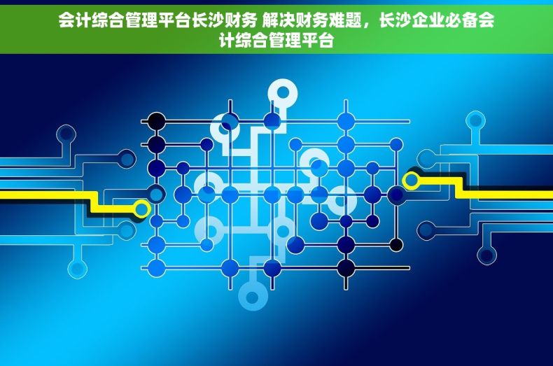 会计综合管理平台长沙财务 解决财务难题，长沙企业必备会计综合管理平台