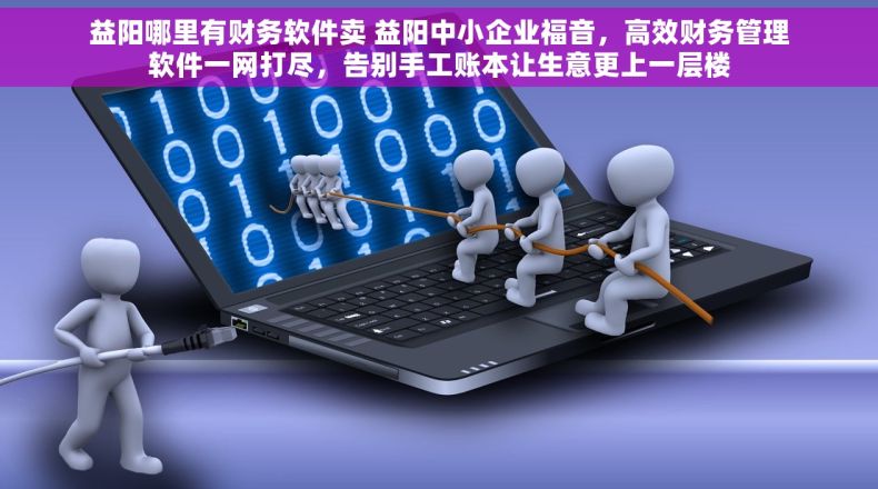 益阳哪里有财务软件卖 益阳中小企业福音，高效财务管理软件一网打尽，告别手工账本让生意更上一层楼