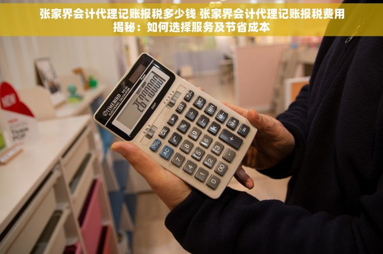 张家界会计代理记账报税多少钱 张家界会计代理记账报税费用揭秘：如何选择服务及节省成本