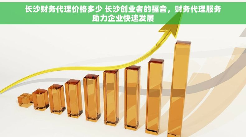 长沙财务代理价格多少 长沙创业者的福音，财务代理服务助力企业快速发展
