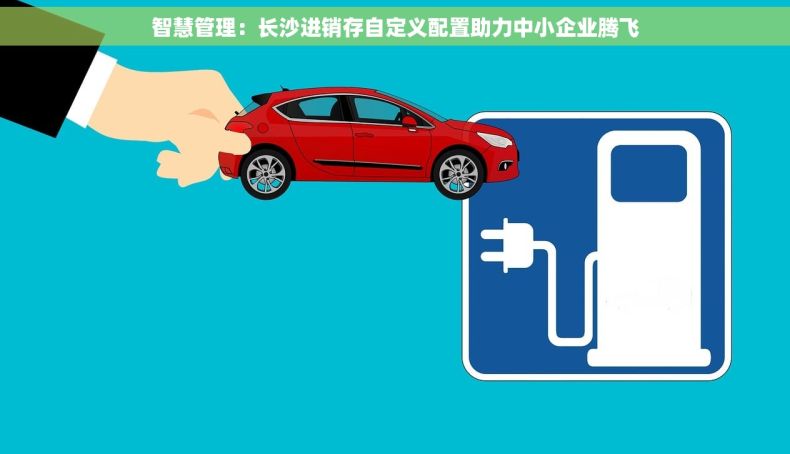 智慧管理：长沙进销存自定义配置助力中小企业腾飞
