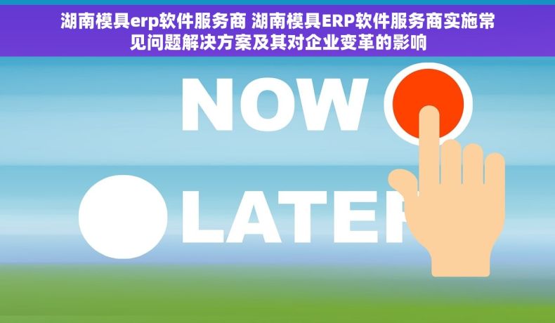 湖南模具erp软件服务商 湖南模具ERP软件服务商实施常见问题解决方案及其对企业变革的影响