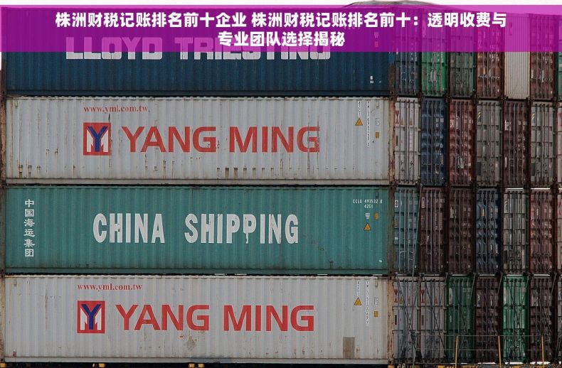 株洲财税记账排名前十企业 株洲财税记账排名前十：透明收费与专业团队选择揭秘