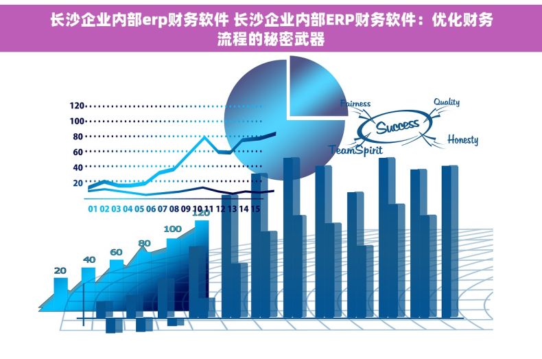 长沙企业内部erp财务软件 长沙企业内部ERP财务软件：优化财务流程的秘密武器