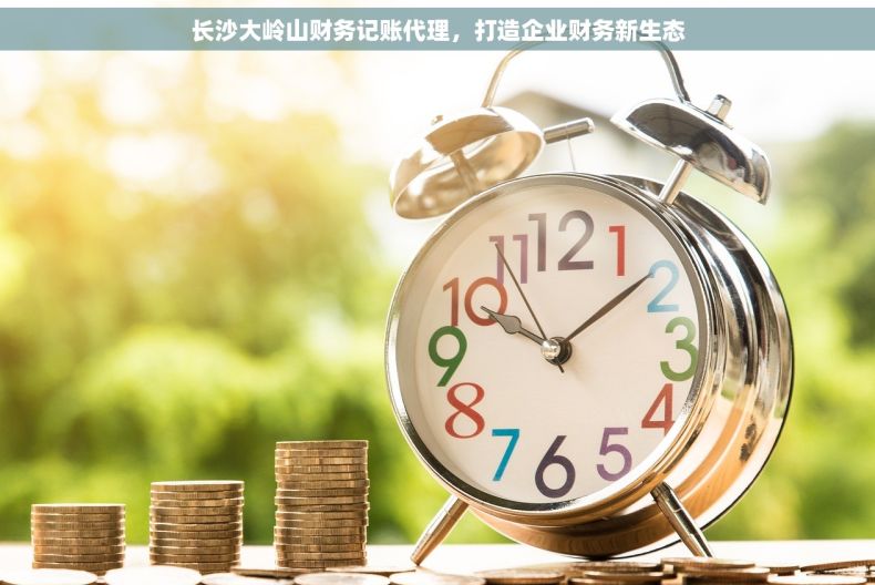 长沙大岭山财务记账代理，打造企业财务新生态