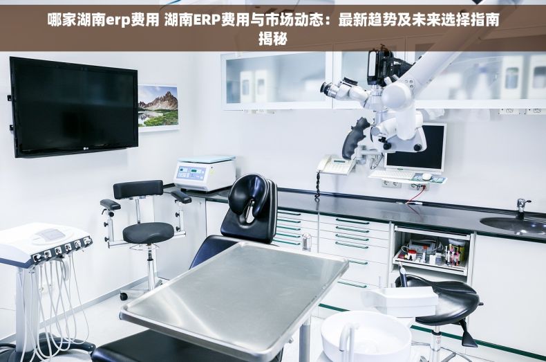 哪家湖南erp费用 湖南ERP费用与市场动态：最新趋势及未来选择指南揭秘