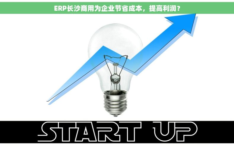 ERP长沙商用为企业节省成本，提高利润？