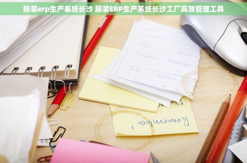 服装erp生产系统长沙 服装ERP生产系统长沙工厂高效管理工具