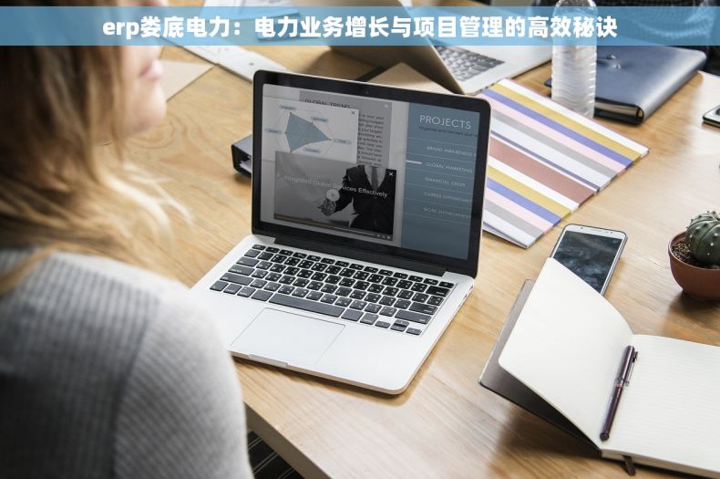 erp娄底电力：电力业务增长与项目管理的高效秘诀