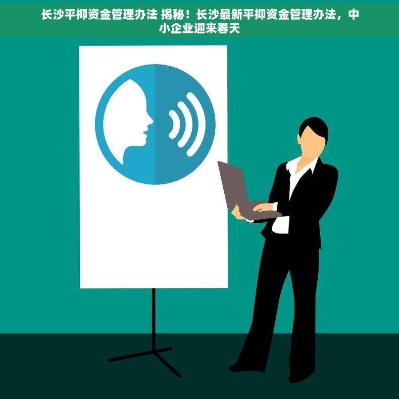 长沙平抑资金管理办法 揭秘！长沙最新平抑资金管理办法，中小企业迎来春天