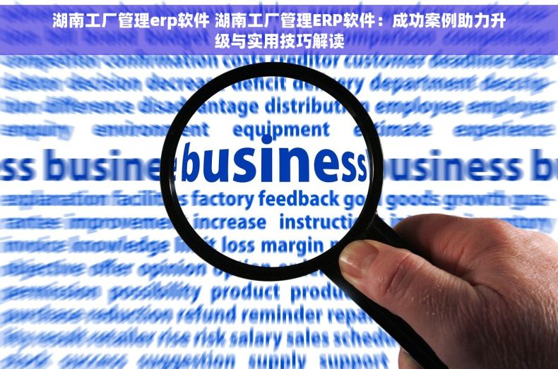 湖南工厂管理erp软件 湖南工厂管理ERP软件：成功案例助力升级与实用技巧解读