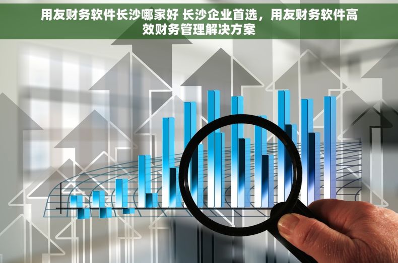 用友财务软件长沙哪家好 长沙企业首选，用友财务软件高效财务管理解决方案