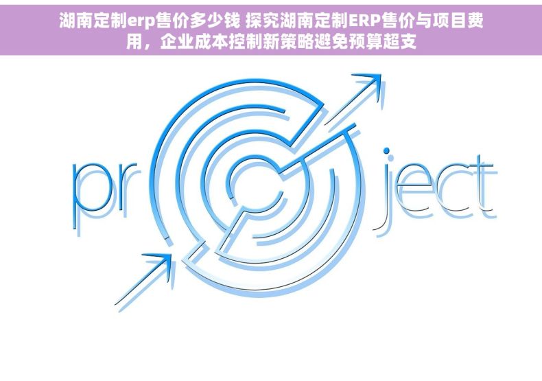 湖南定制erp售价多少钱 探究湖南定制ERP售价与项目费用，企业成本控制新策略避免预算超支