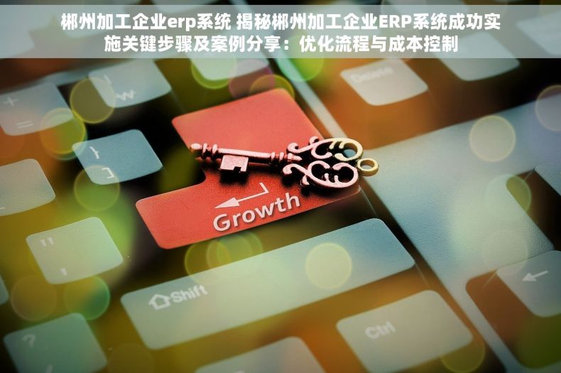 郴州加工企业erp系统 揭秘郴州加工企业ERP系统成功实施关键步骤及案例分享：优化流程与成本控制