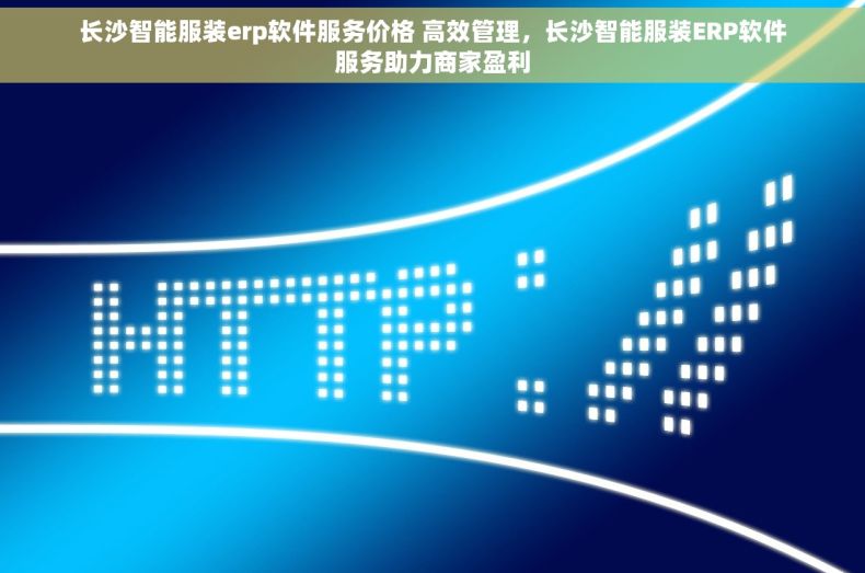 长沙智能服装erp软件服务价格 高效管理，长沙智能服装ERP软件服务助力商家盈利