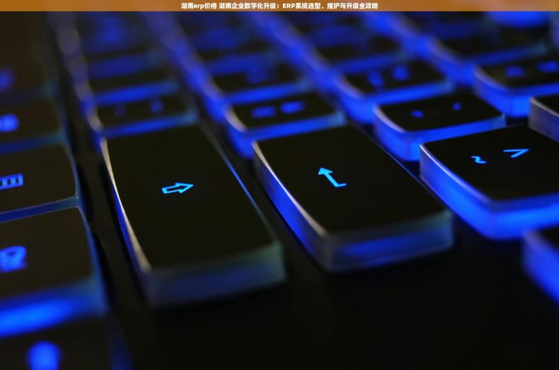 湖南erp价格 湖南企业数字化升级：ERP系统选型、维护与升级全攻略