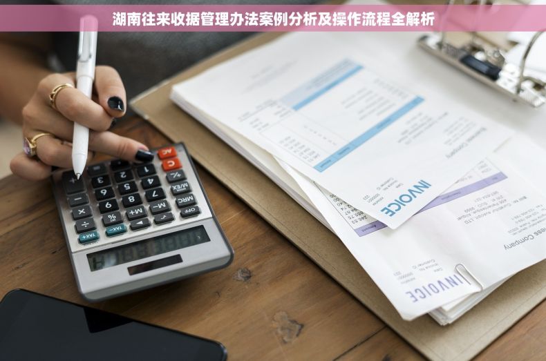 湖南往来收据管理办法案例分析及操作流程全解析