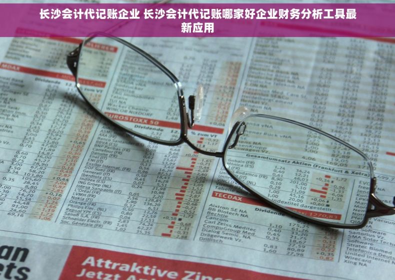 长沙会计代记账企业 长沙会计代记账哪家好企业财务分析工具最新应用