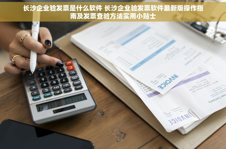 长沙企业验发票是什么软件 长沙企业验发票软件最新版操作指南及发票查验方法实用小贴士