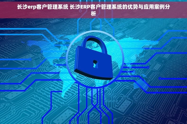 长沙erp客户管理系统 长沙ERP客户管理系统的优势与应用案例分析