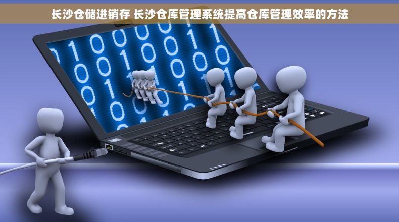 长沙仓储进销存 长沙仓库管理系统提高仓库管理效率的方法