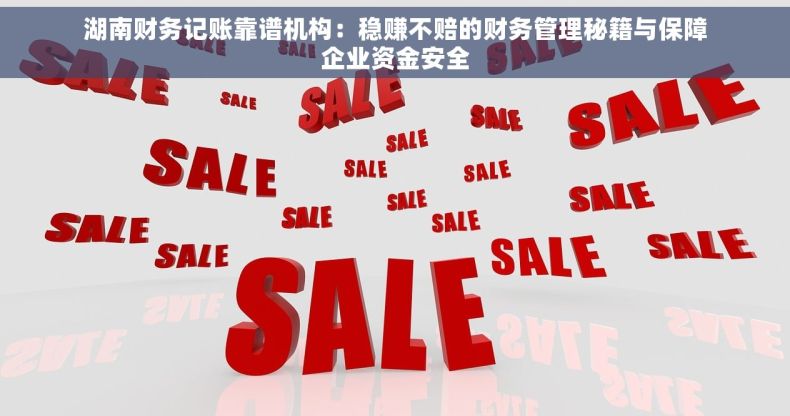湖南财务记账靠谱机构：稳赚不赔的财务管理秘籍与保障企业资金安全