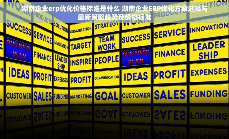 湖南企业erp优化价格标准是什么 湖南企业ERP优化方案选择与最新策略趋势及价格标准