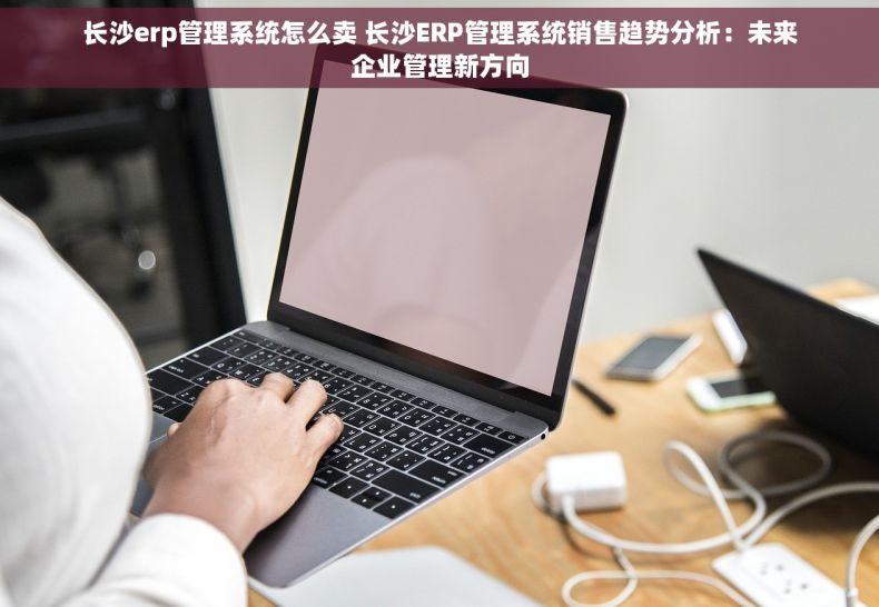 长沙erp管理系统怎么卖 长沙ERP管理系统销售趋势分析：未来企业管理新方向