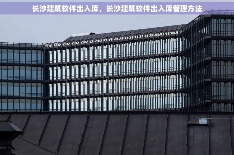 长沙建筑软件出入库，长沙建筑软件出入库管理方法
