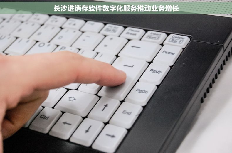 长沙进销存软件数字化服务推动业务增长