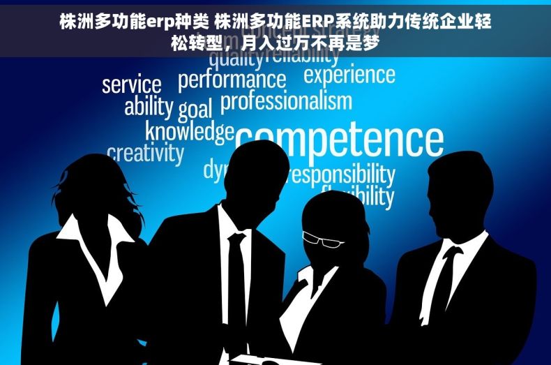 株洲多功能erp种类 株洲多功能ERP系统助力传统企业轻松转型，月入过万不再是梦