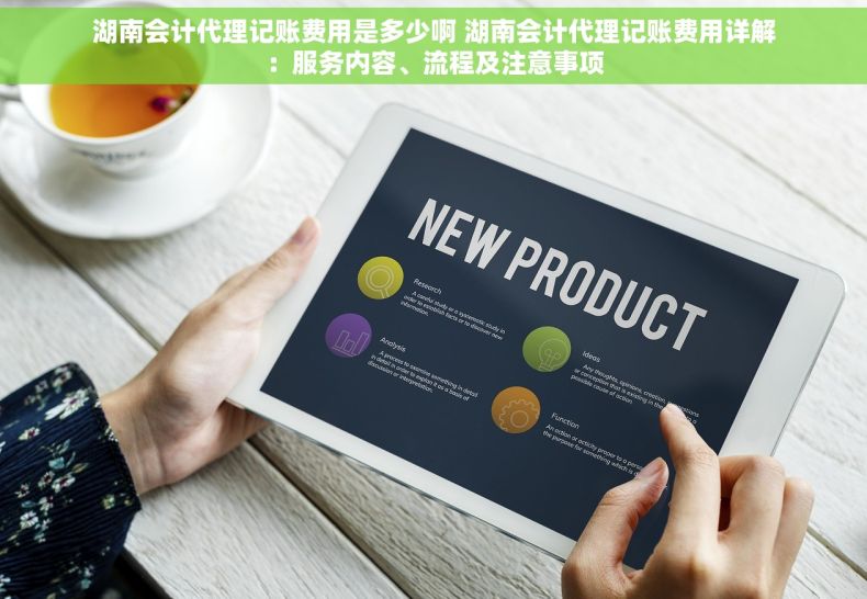 湖南会计代理记账费用是多少啊 湖南会计代理记账费用详解：服务内容、流程及注意事项