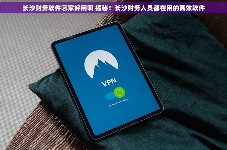 长沙财务软件哪家好用啊 揭秘！长沙财务人员都在用的高效软件