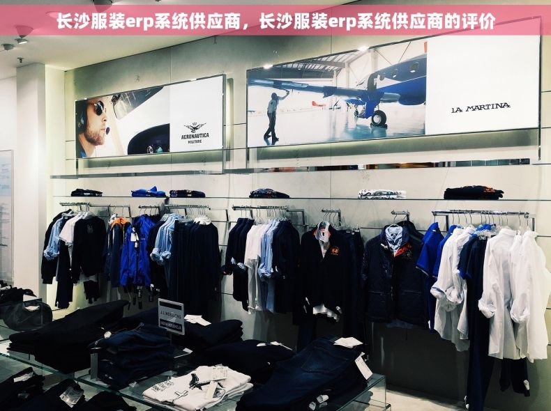 长沙服装erp系统供应商，长沙服装erp系统供应商的评价