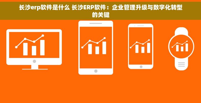 长沙erp软件是什么 长沙ERP软件：企业管理升级与数字化转型的关键