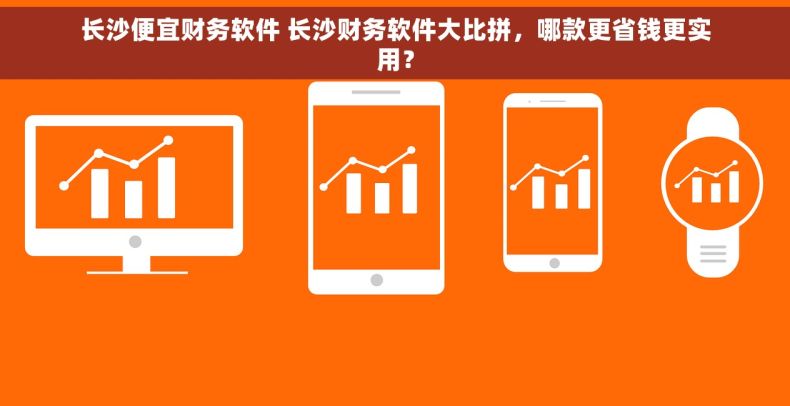 长沙便宜财务软件 长沙财务软件大比拼，哪款更省钱更实用？