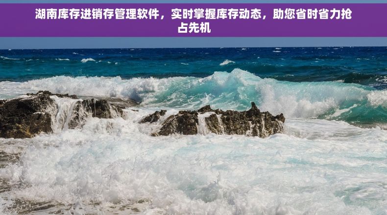 湖南库存进销存管理软件，实时掌握库存动态，助您省时省力抢占先机