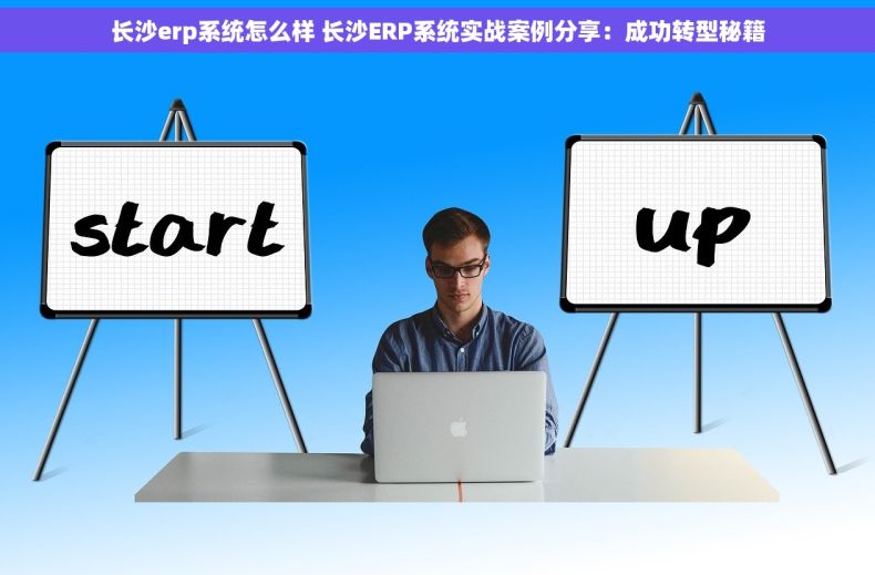 长沙erp系统怎么样 长沙ERP系统实战案例分享：成功转型秘籍